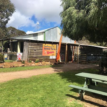Sunflowers Animal Farm & Farmstay Margaret River Екстериор снимка