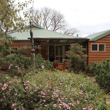 Sunflowers Animal Farm & Farmstay Margaret River Екстериор снимка