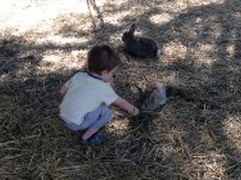 Sunflowers Animal Farm & Farmstay Margaret River Екстериор снимка