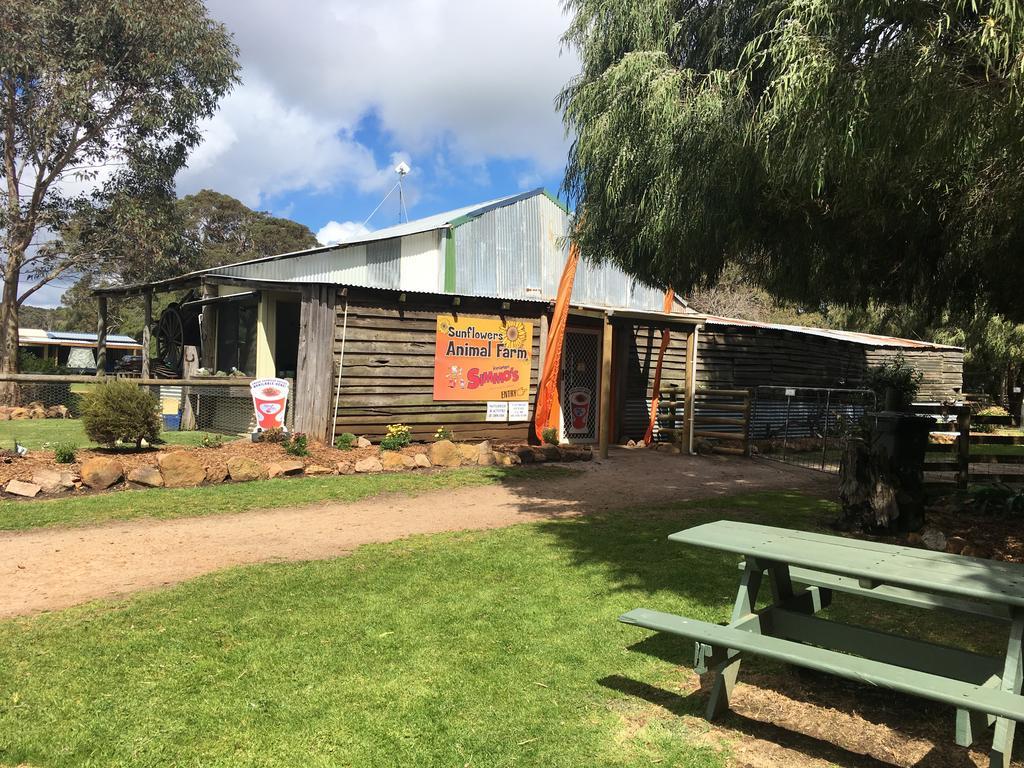 Sunflowers Animal Farm & Farmstay Margaret River Екстериор снимка