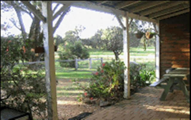 Sunflowers Animal Farm & Farmstay Margaret River Екстериор снимка